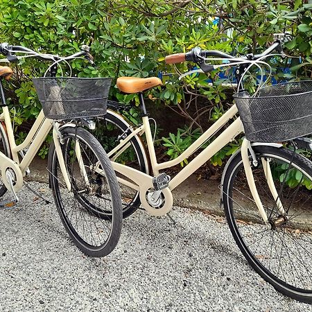 Apt Luminoso, Spazioso Con Aria Condiz E Bici Lägenhet Viareggio Exteriör bild