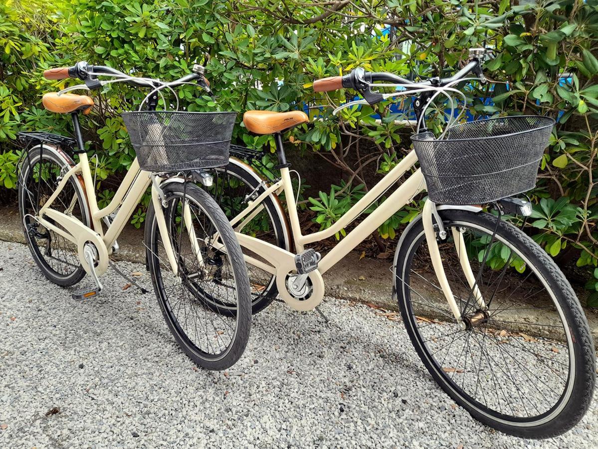 Apt Luminoso, Spazioso Con Aria Condiz E Bici Lägenhet Viareggio Exteriör bild